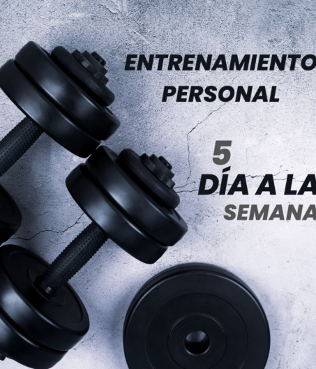 Entrenamiento Personal 5 días a la semana 
